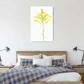 Toile Fleurs de verge d'or (Solidago juncea), Amérique d (Insitu(Chambre))