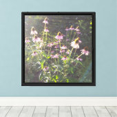 Toile Fleurs d'échinacée au soleil (Insitu (Plancher de Bois))
