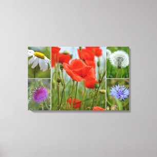 Toile fleurs des champs