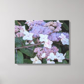 Toile Fleurs d'Hydrangea Aspera Floral (Recto)