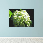 Toile Fleurs d'hydrangées vertes (Insitu (Plancher de Bois))