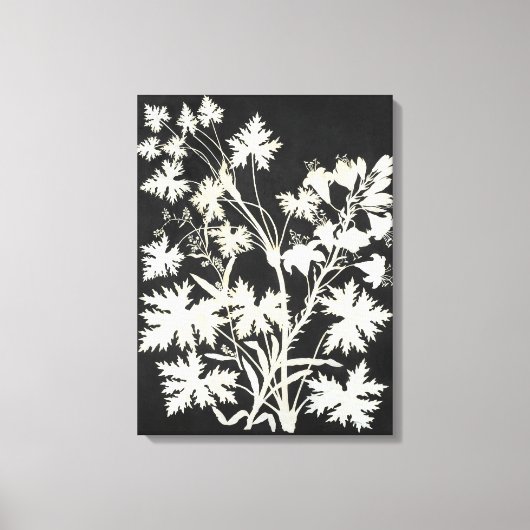 Toile Fleurs en silhouette (Recto)
