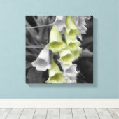 Toile Fleurs Foxglove Couleur partielle (Insitu (Plancher de Bois))