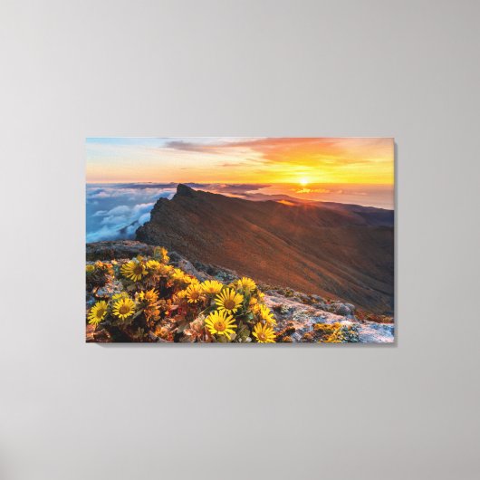 Toile Fleurs | Îles Canaries, Espagne (Recto)