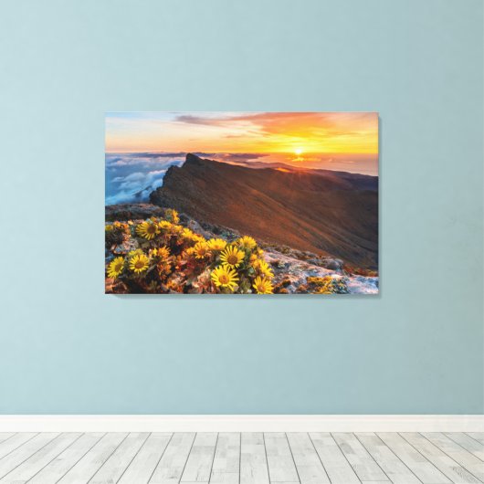 Toile Fleurs | Îles Canaries, Espagne (Insitu (Plancher de Bois))