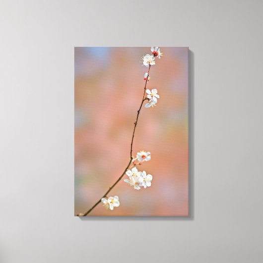 Toile Fleurs japonaises d'abricot (Recto)