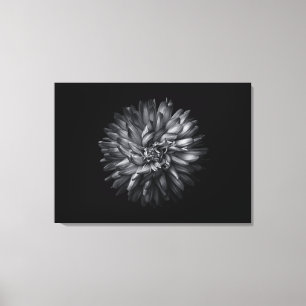 Toile Fleurs jardins En Noir Et Blanc 20