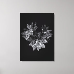 Toile Fleurs jardins En Noir Et Blanc No 11