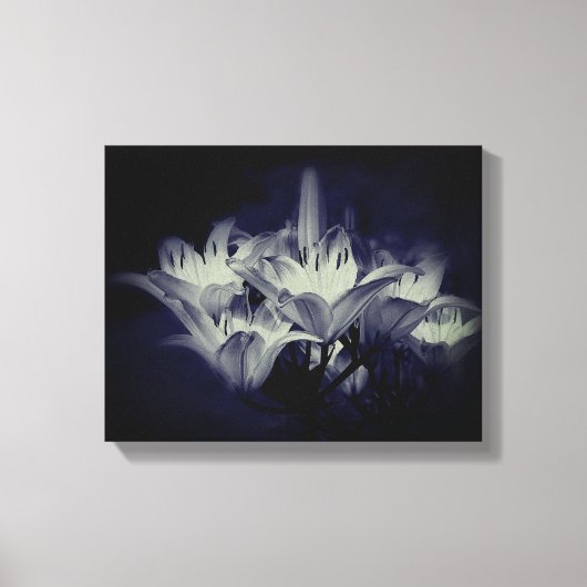 Toile Fleurs Lys En Noir Et Blanc (Recto)