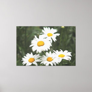 Toile Fleurs marguerites blanches