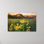 Toile Fleurs | Mountain Meadow Crested Butte Colorado (Recto)