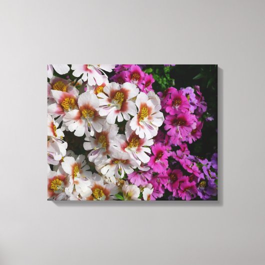 Toile Fleurs papillon rose blanc et violet (Recto)