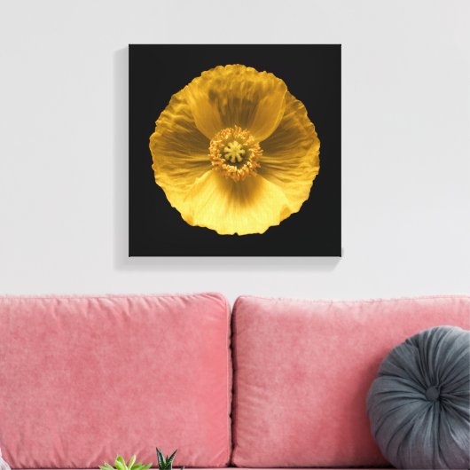 Toile Fleurs | Pavot jaune (Insitu(Salon))