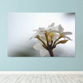 Toile Fleurs Plumeria Hawaii (Insitu (Plancher de Bois))