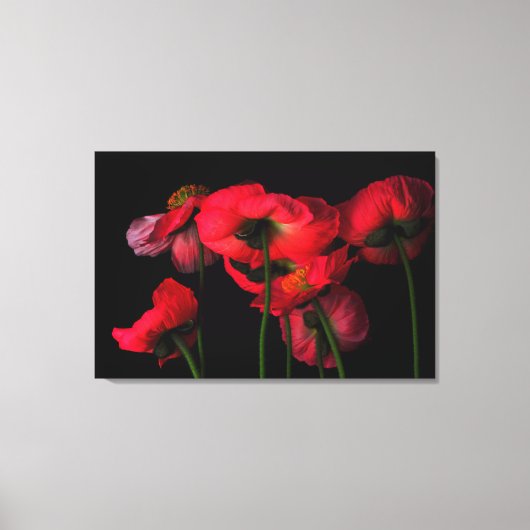 Toile Fleurs | Poppies rouges (Recto)