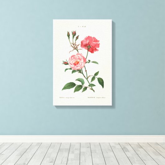 Toile Fleurs Rosa vintages (Insitu (Plancher de Bois))