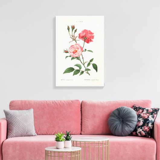 Toile Fleurs Rosa vintages (Insitu(Salon))