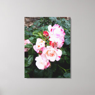 Toile Fleurs roses, Roses blanches rouges roses