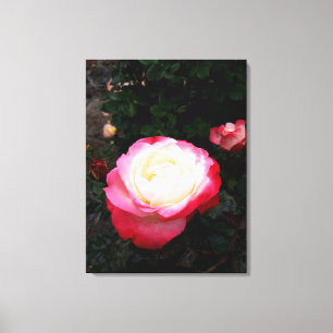 Toile Fleurs roses, Roses blanches rouges roses