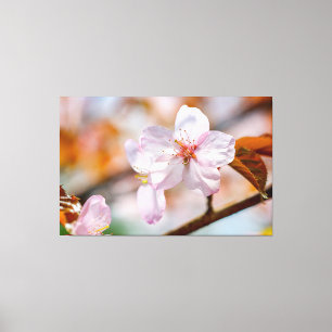 Toile Fleurs Sakura Et Feuilles Oranges Au Printemps