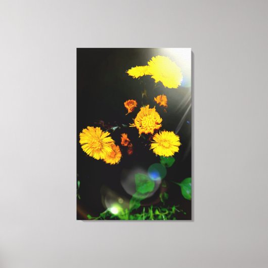 Toile Fleurs sauvages au soleil (Recto)