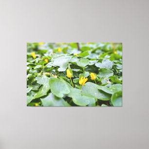 Toile Fleurs sauvages de la forêt – Photographie botaniq