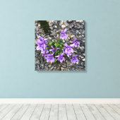 Toile Fleurs sauvages de Viola poussant à partir d'un mu (Insitu (Plancher de Bois))