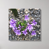 Toile Fleurs sauvages de Viola poussant à partir d'un mu (Recto)
