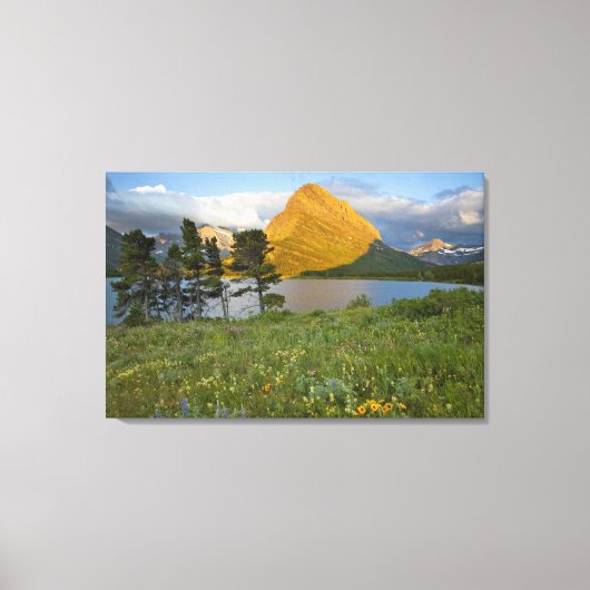 Toile Fleurs sauvages le long du lac Swiftcurrent dans l (Recto)