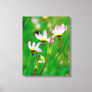 Toile Fleurs sauvages Shooting Star dans le parc Mission