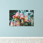 Toile Fleurs succulentes d'Echeveria (Insitu (Plancher de Bois))