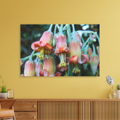 Toile Fleurs succulentes d'Echeveria (Insitu(Salon))