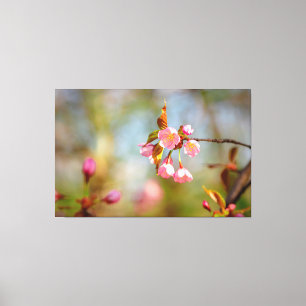 Toile Fleurs Tendre de Sakura Rose Clair au Printemps