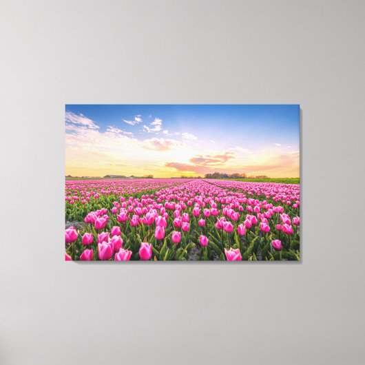 Toile Fleurs | Tulips Holland Sud, Pays-Bas (Recto)