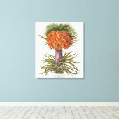 Toile Fleurs vintages de Fritillaria par Basilius Besler (Insitu (Plancher de Bois))