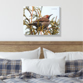 Toile Flicker du Nord à feutre rouge dans un arbre (Insitu(Chambre))