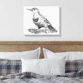 Toile Flicker du Nord féminin (Insitu(Chambre))