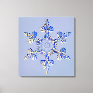 Toile Flocon de neige 2