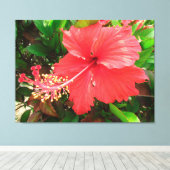 Toile Flor de Amapola (Insitu (Plancher de Bois))