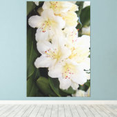 Toile Floral blanc crémeux (Insitu (Plancher de Bois))