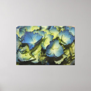 Toile Floral Designer Bleu