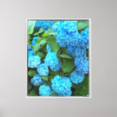 Toile Floral d'Hydrangée Bleue (Recto)