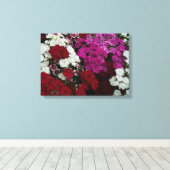 Toile Floral Dianthus blanc, rose et rouge (Insitu (Plancher de Bois))