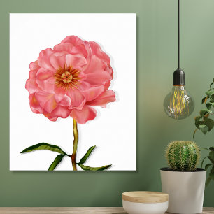 Toile Floral Pretty Rose Peony Art