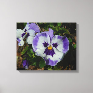 Toile Floral Purple and White Pansies