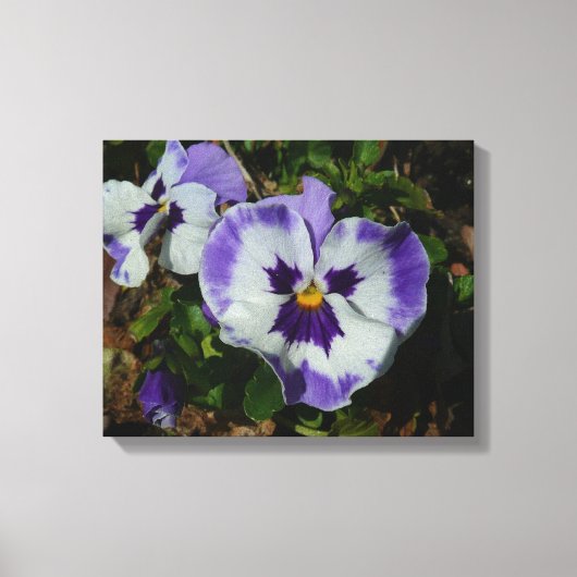 Toile Floral Purple and White Pansies (Recto)