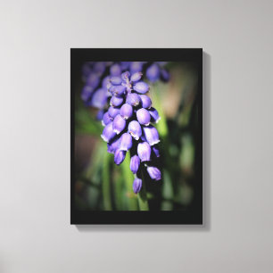 Toile florale Hyacinth Graphe Imprimer