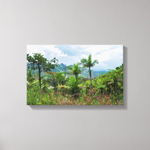 Toile Flore et paysage des montagnes du luquillo