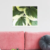 Toile Flore Plante Hosta varié (Insitu(Salon))