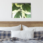 Toile Flore Plante Hosta varié (Insitu(Chambre))